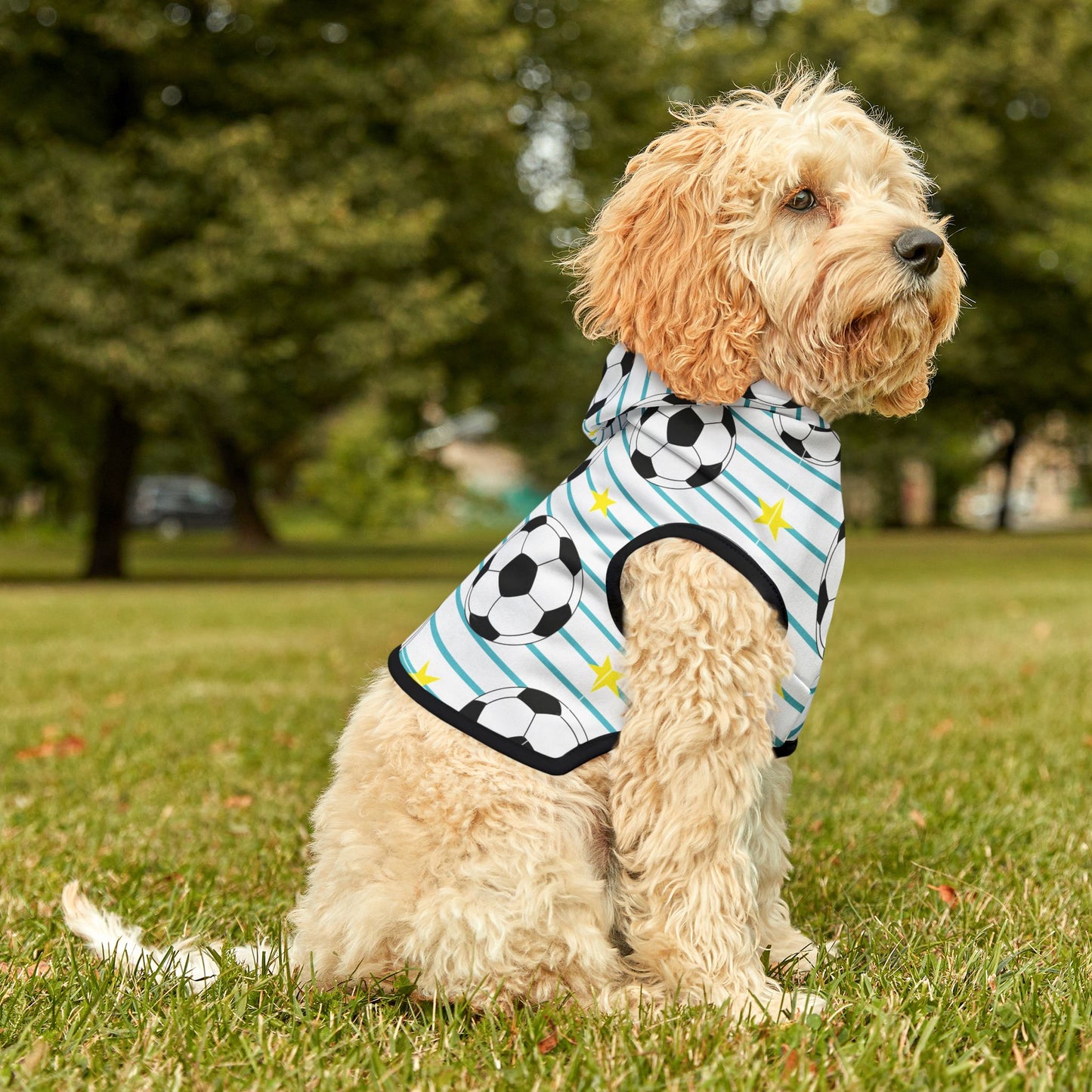 Pet Hoodie