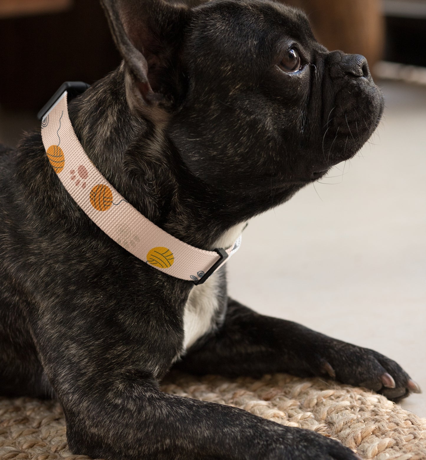 Dog Collar