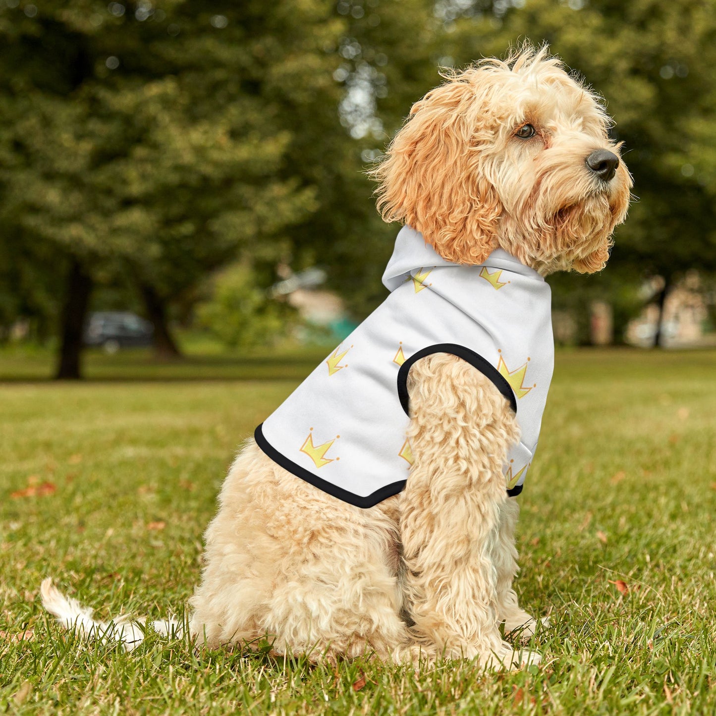 Pet Hoodie