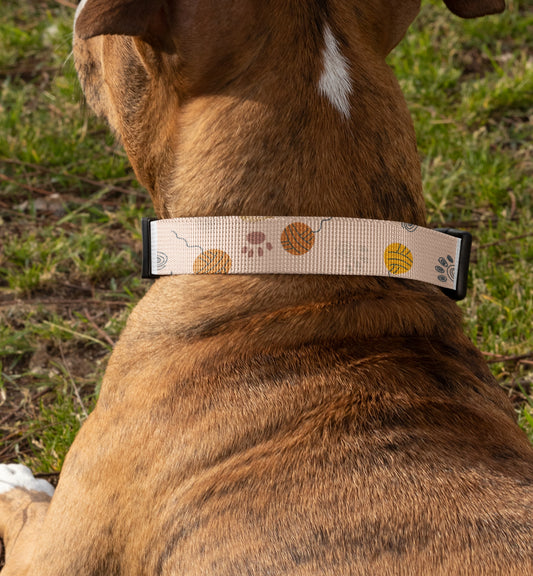 Dog Collar