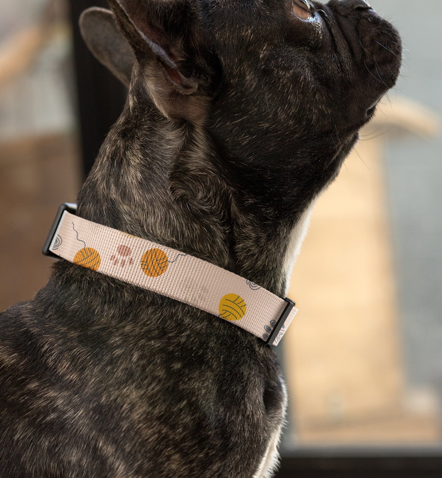 Dog Collar