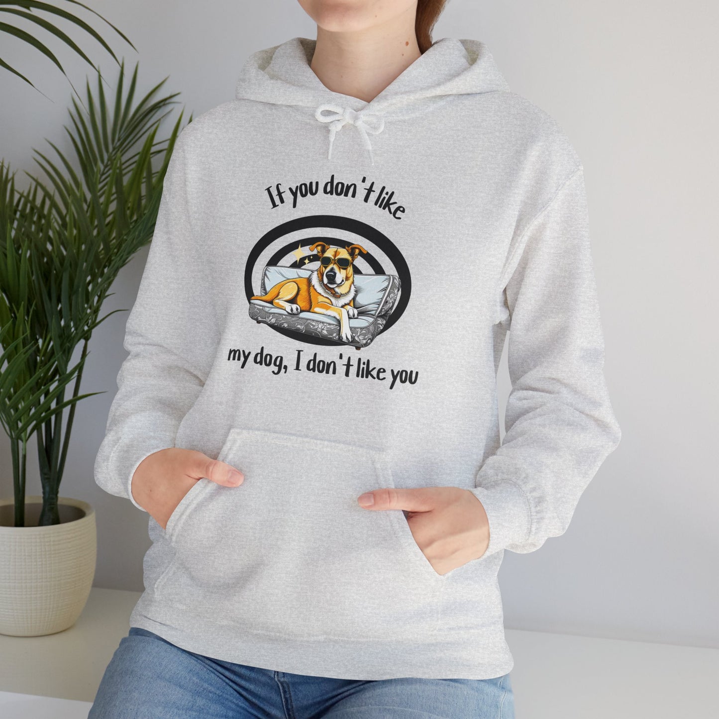 I Don't Like You Hoodie