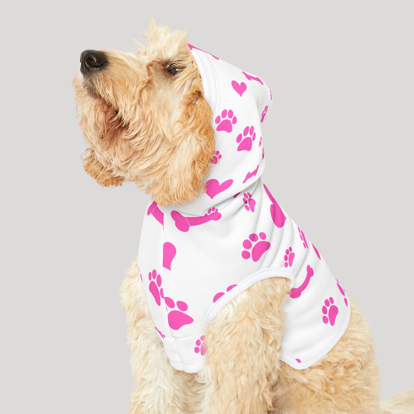 Pet Hoodie