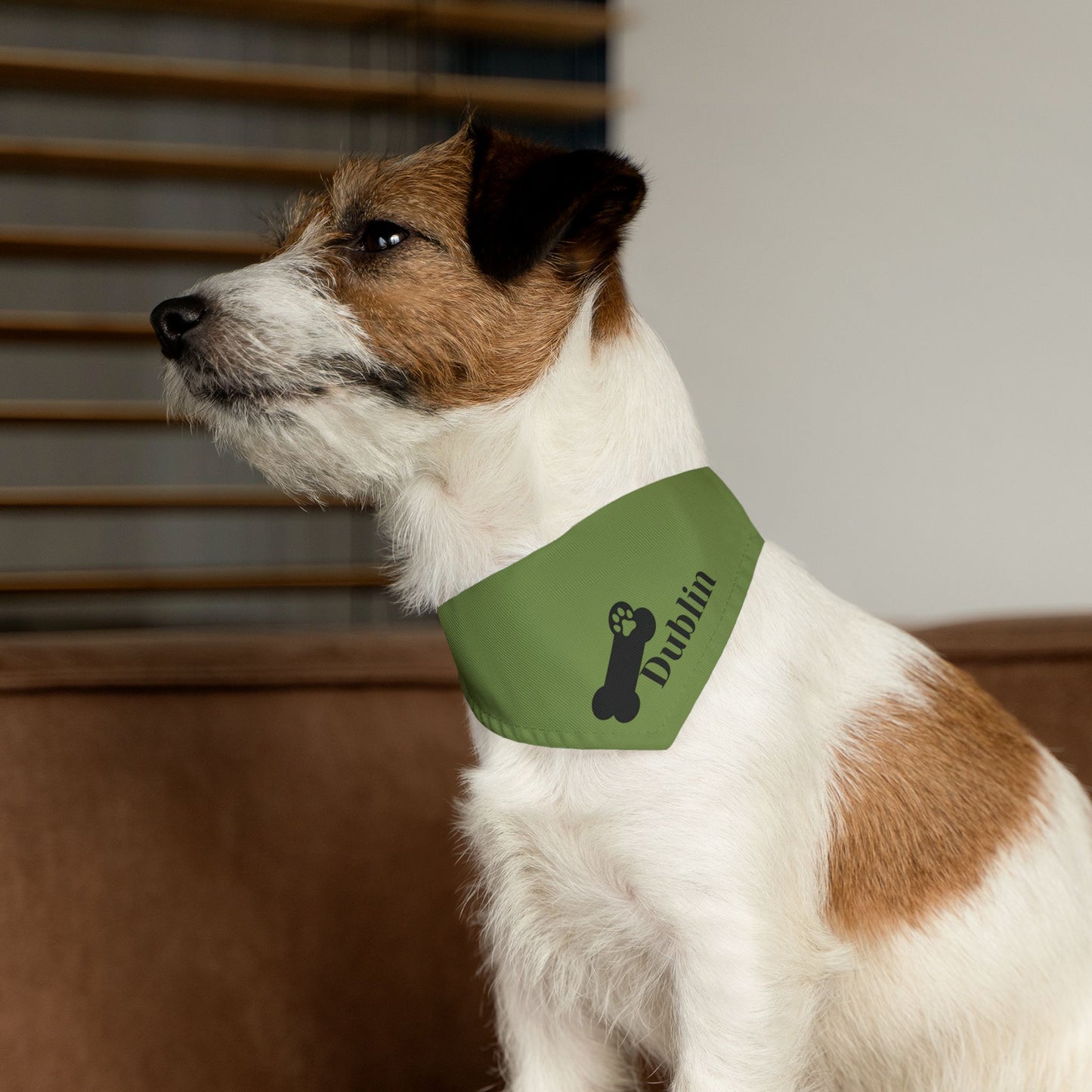 Pet Bandana Personalized