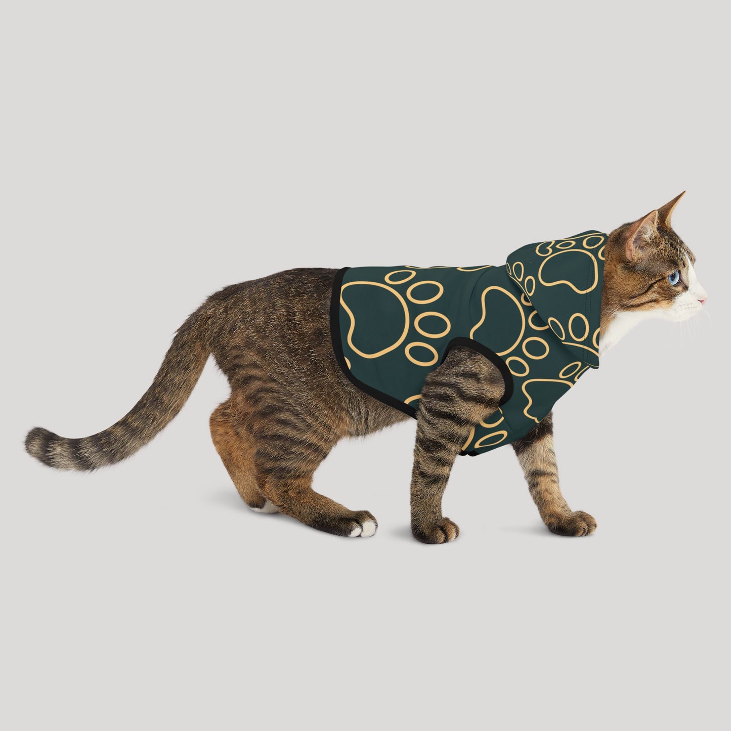 Pet Hoodie