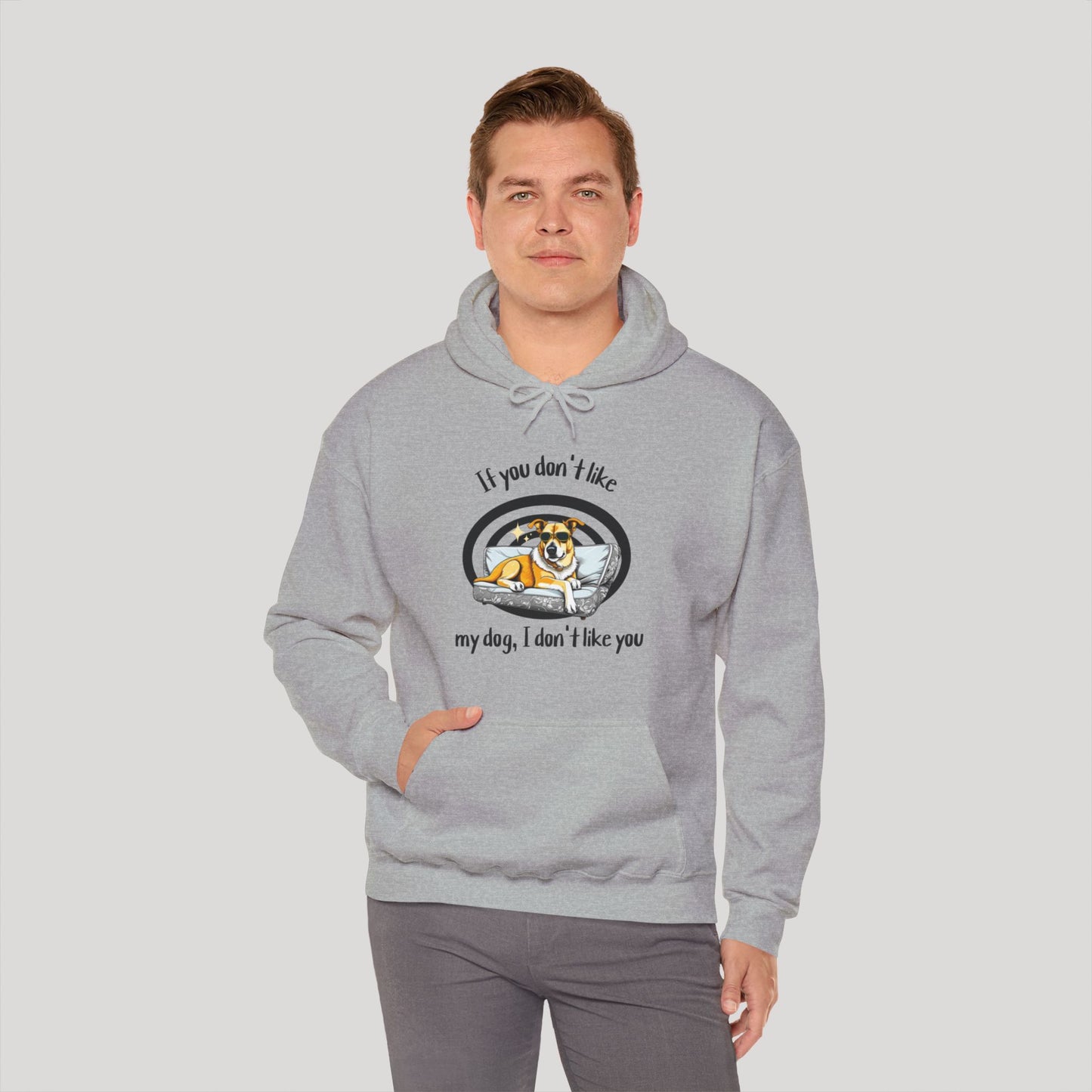 I Don't Like You Hoodie