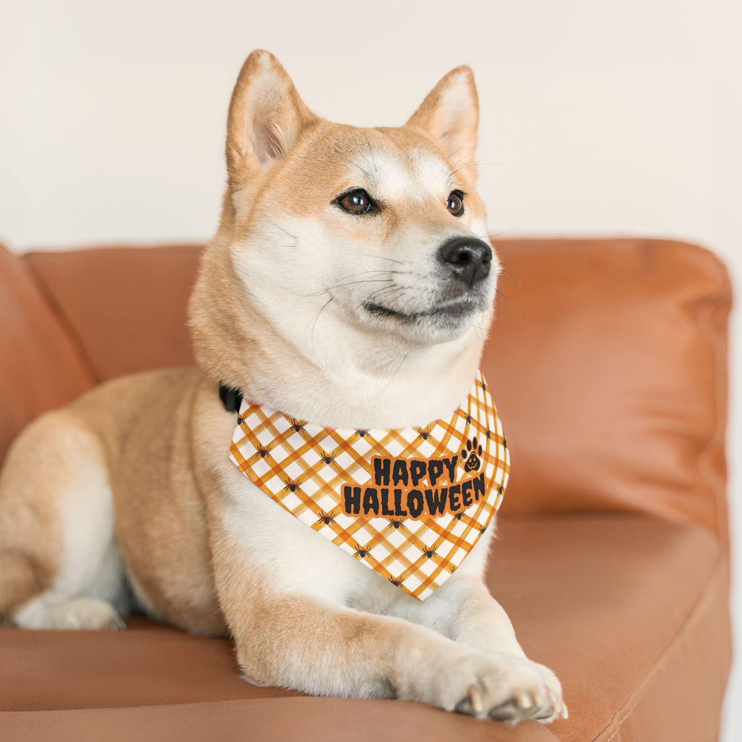 Happy Halloween Pet Bandana Collar