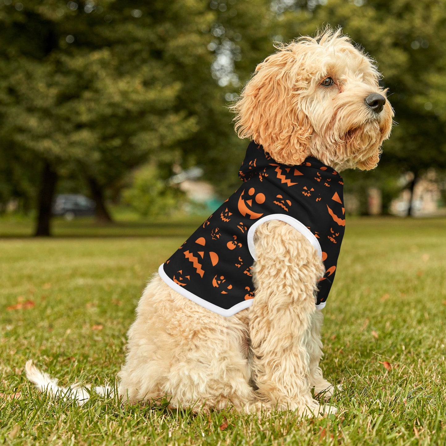 Halloween Pet Hoodie