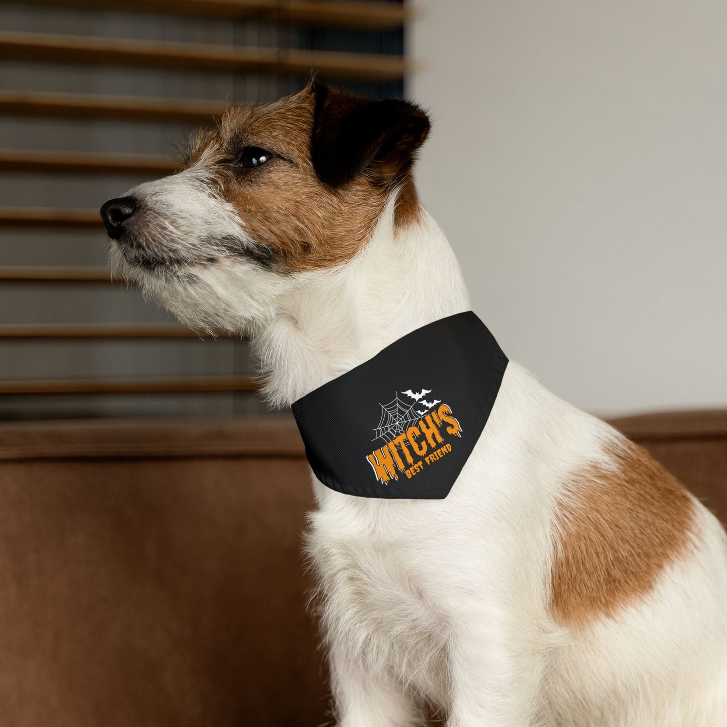 Witch's Best Friend Pet Bandana Collar