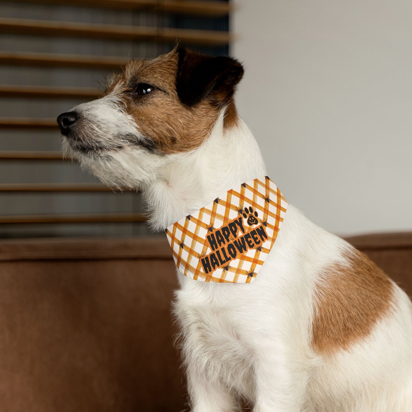 Happy Halloween Pet Bandana Collar