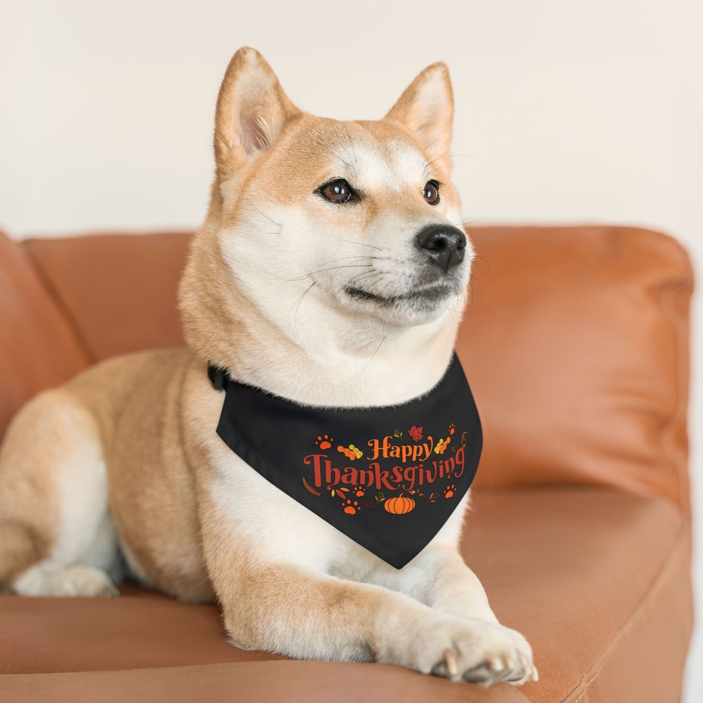 Happy Thanksgiving Pet Bandana Collar
