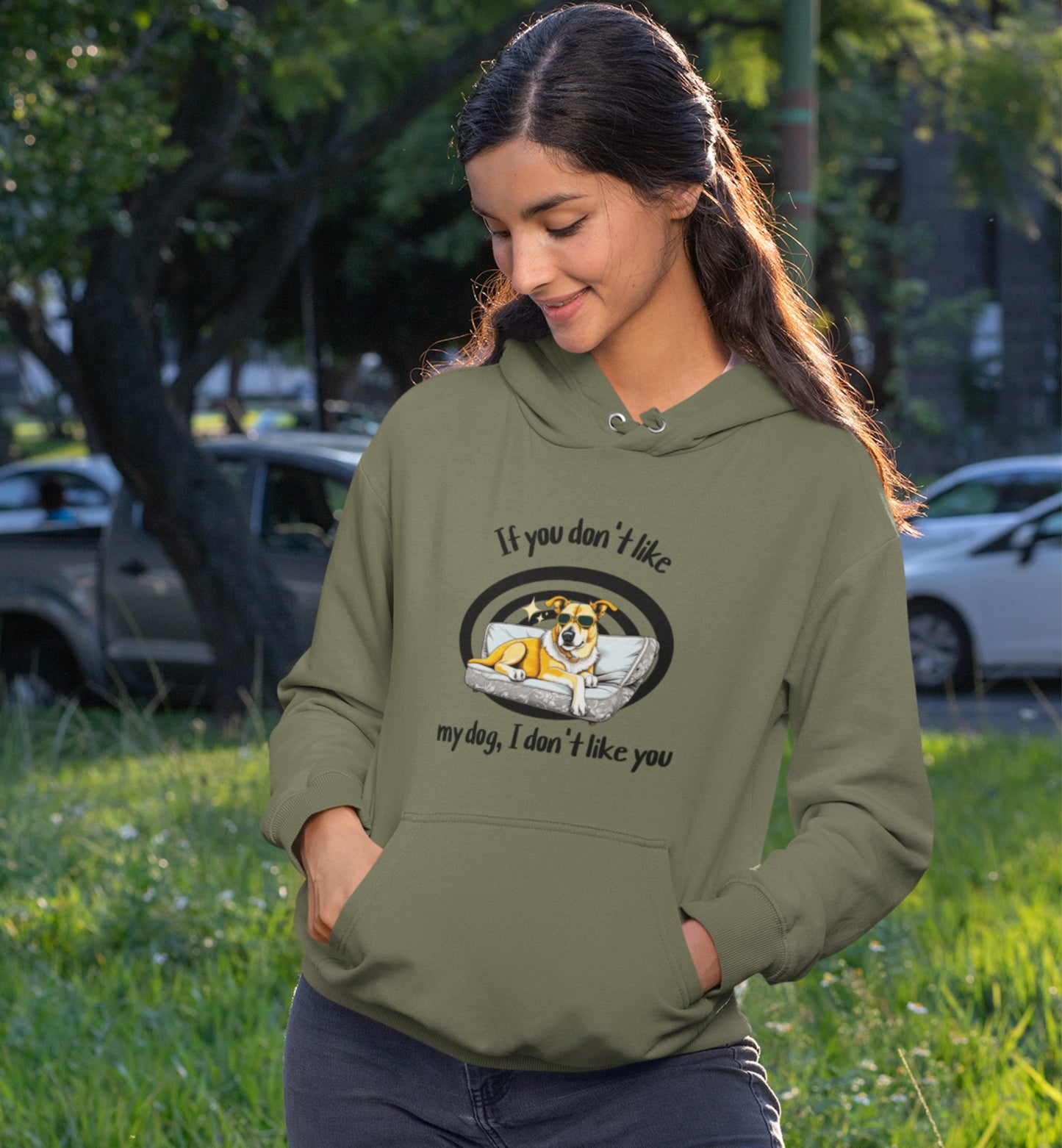 I Don't Like You Hoodie