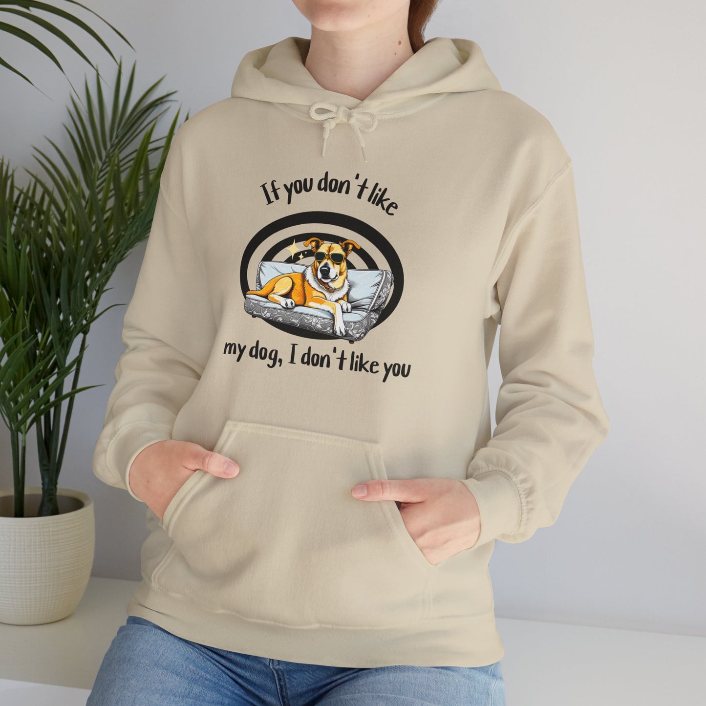 I Don't Like You Hoodie