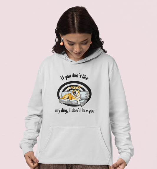 I Don't Like You Hoodie