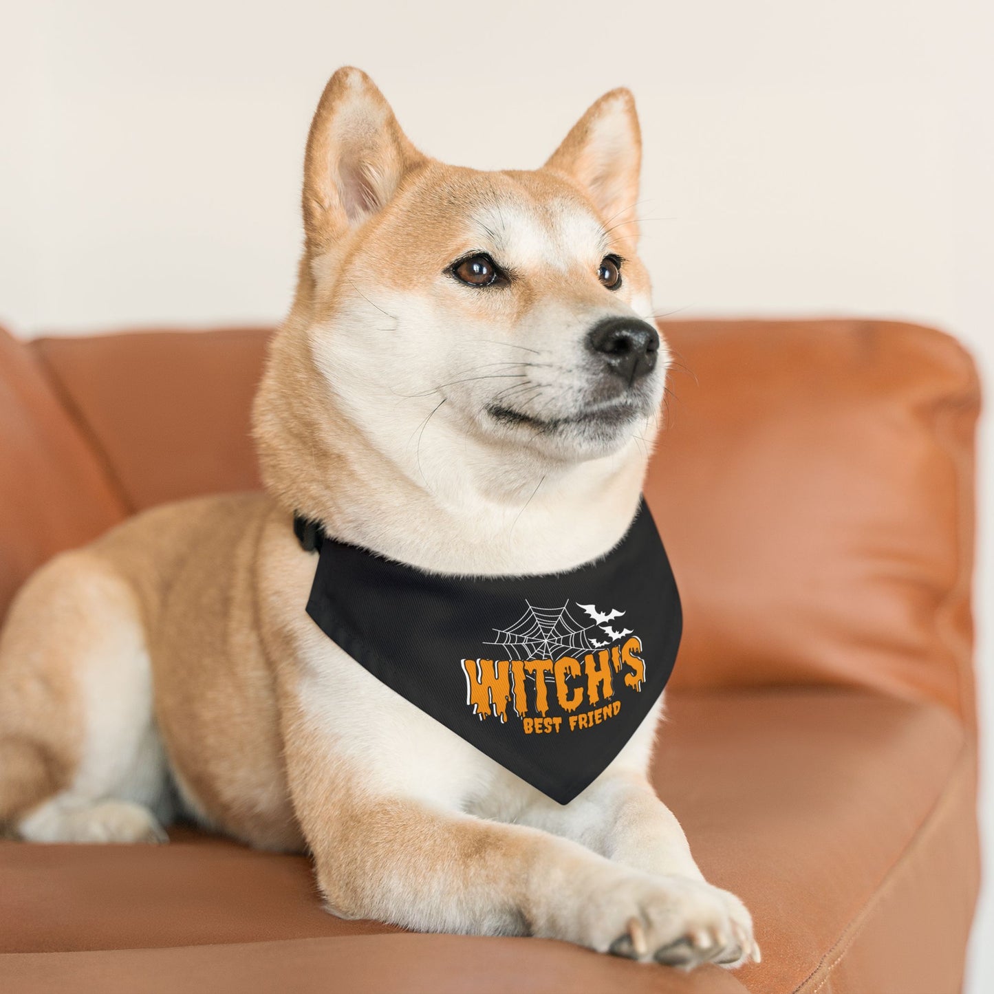 Witch's Best Friend Pet Bandana Collar