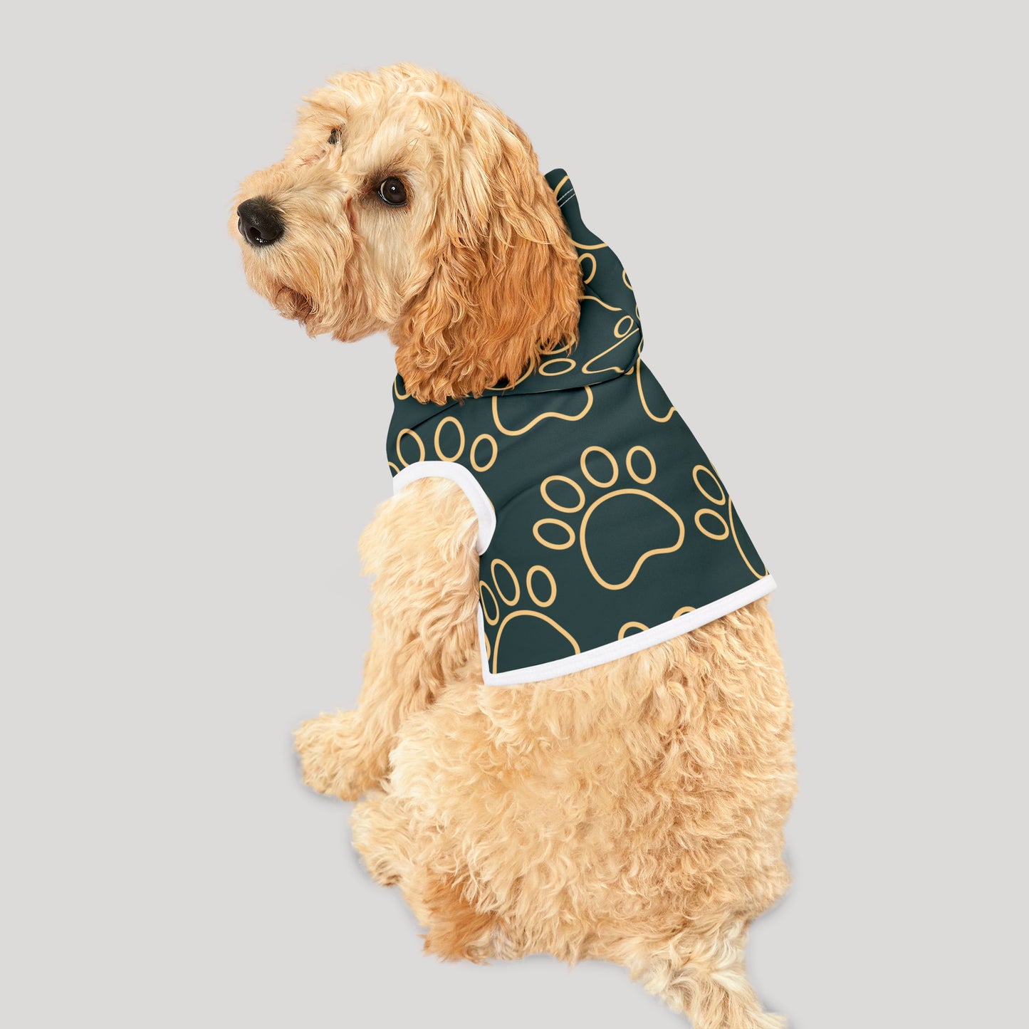 Pet Hoodie