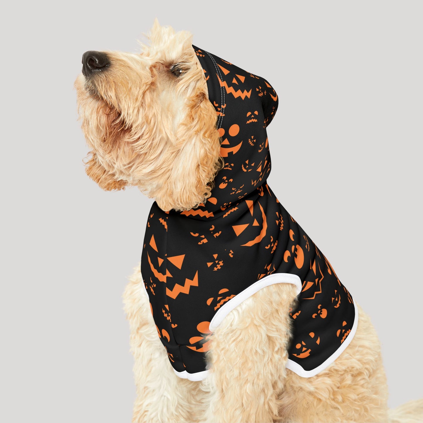 Halloween Pet Hoodie