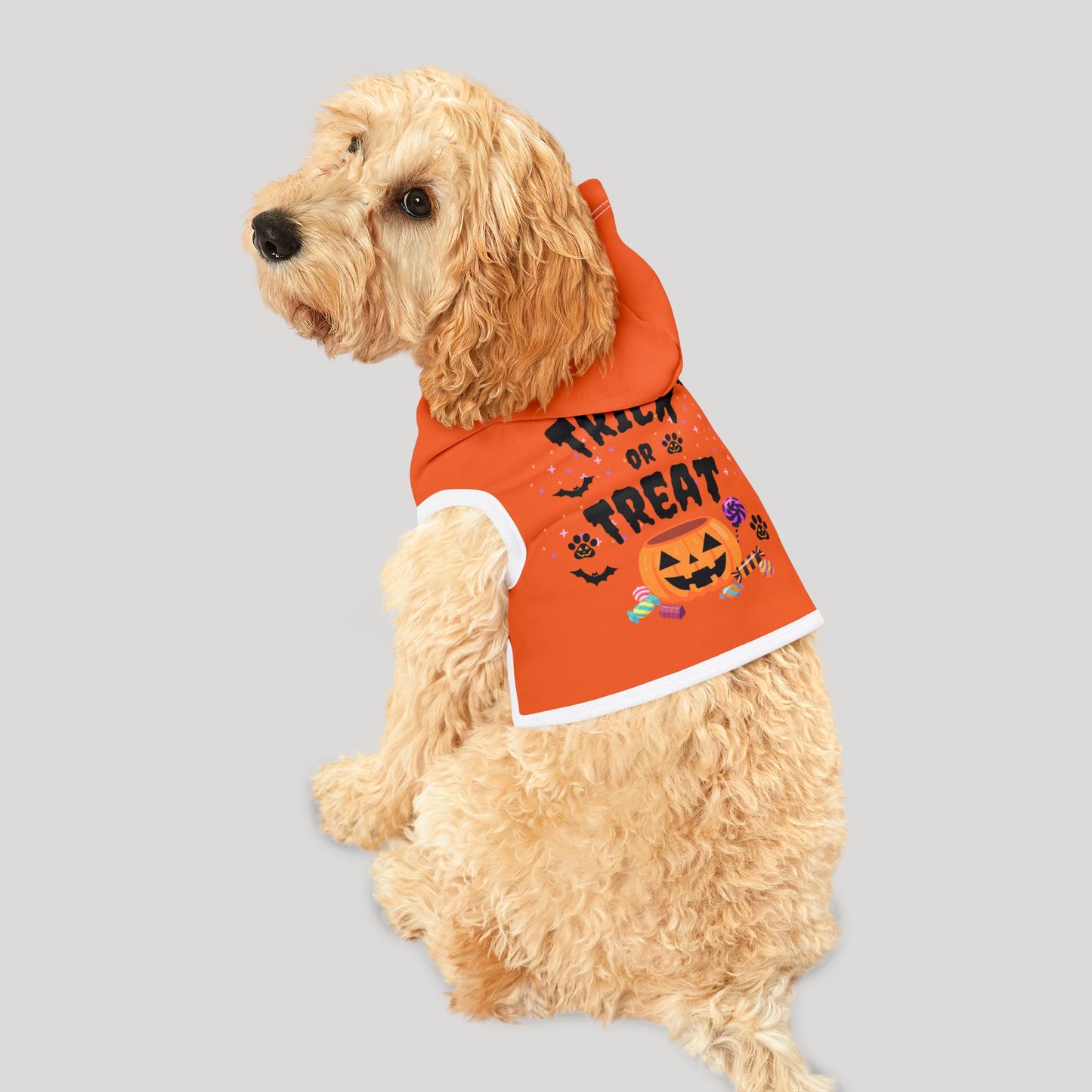 Trick or Treat Pet Hoodie