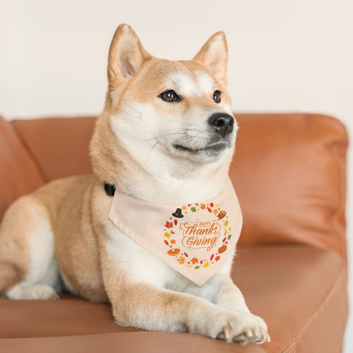 Happy Thanksgiving Bandana Collar