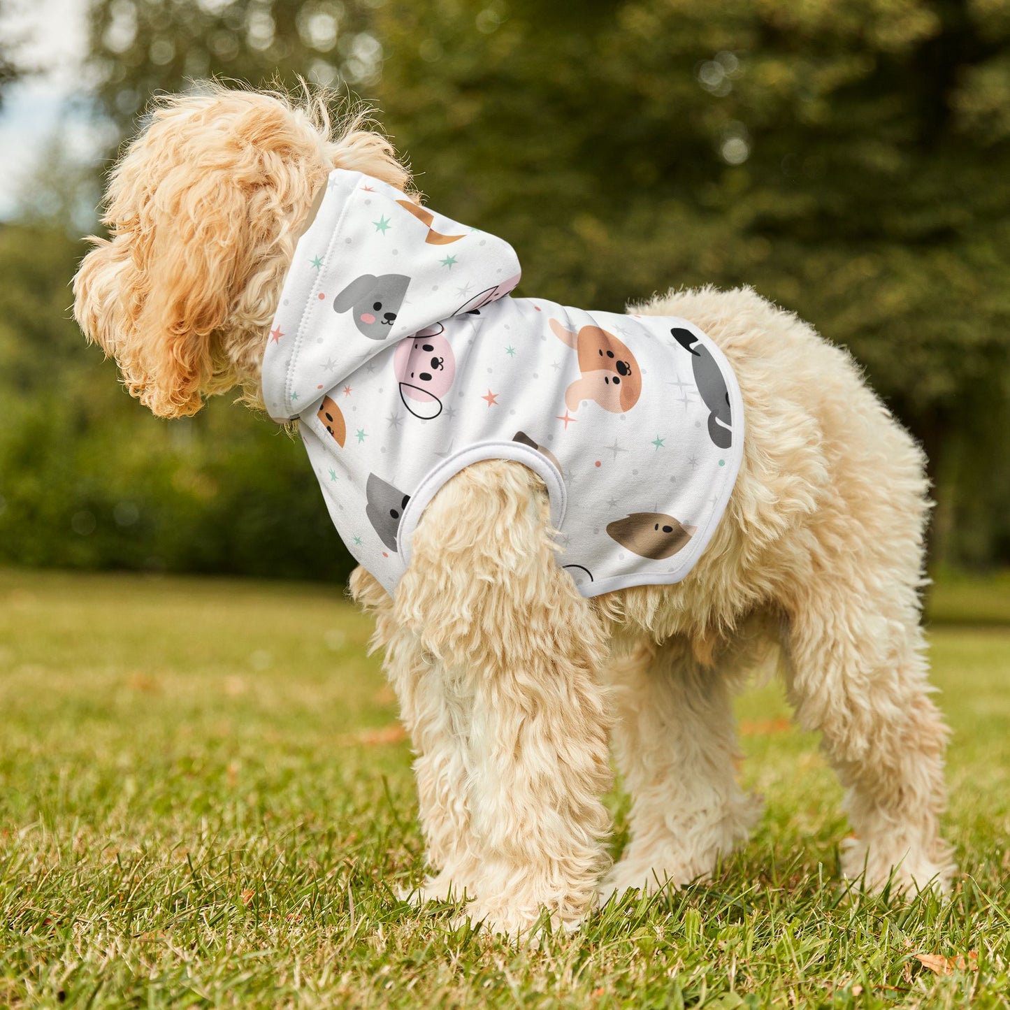Pet Hoodie
