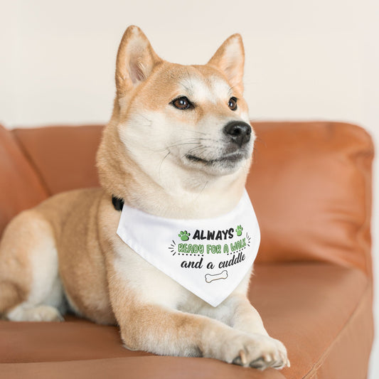 Always Bandana Collar