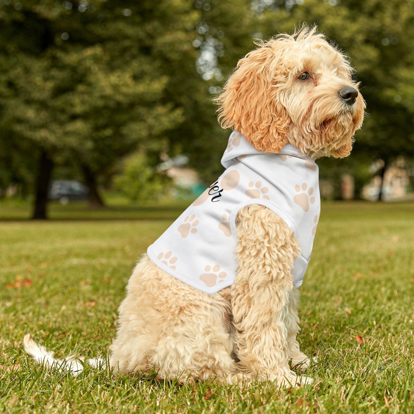 Personalized Name Pet Hoodie