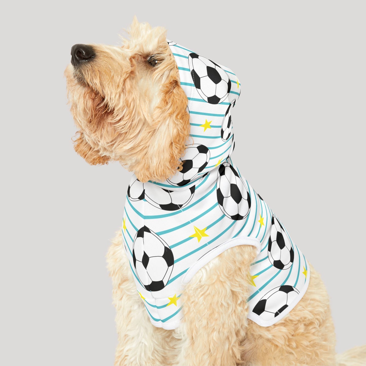 Pet Hoodie