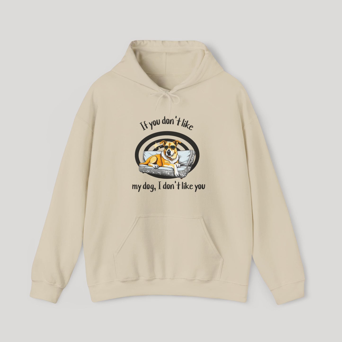 I Don't Like You Hoodie
