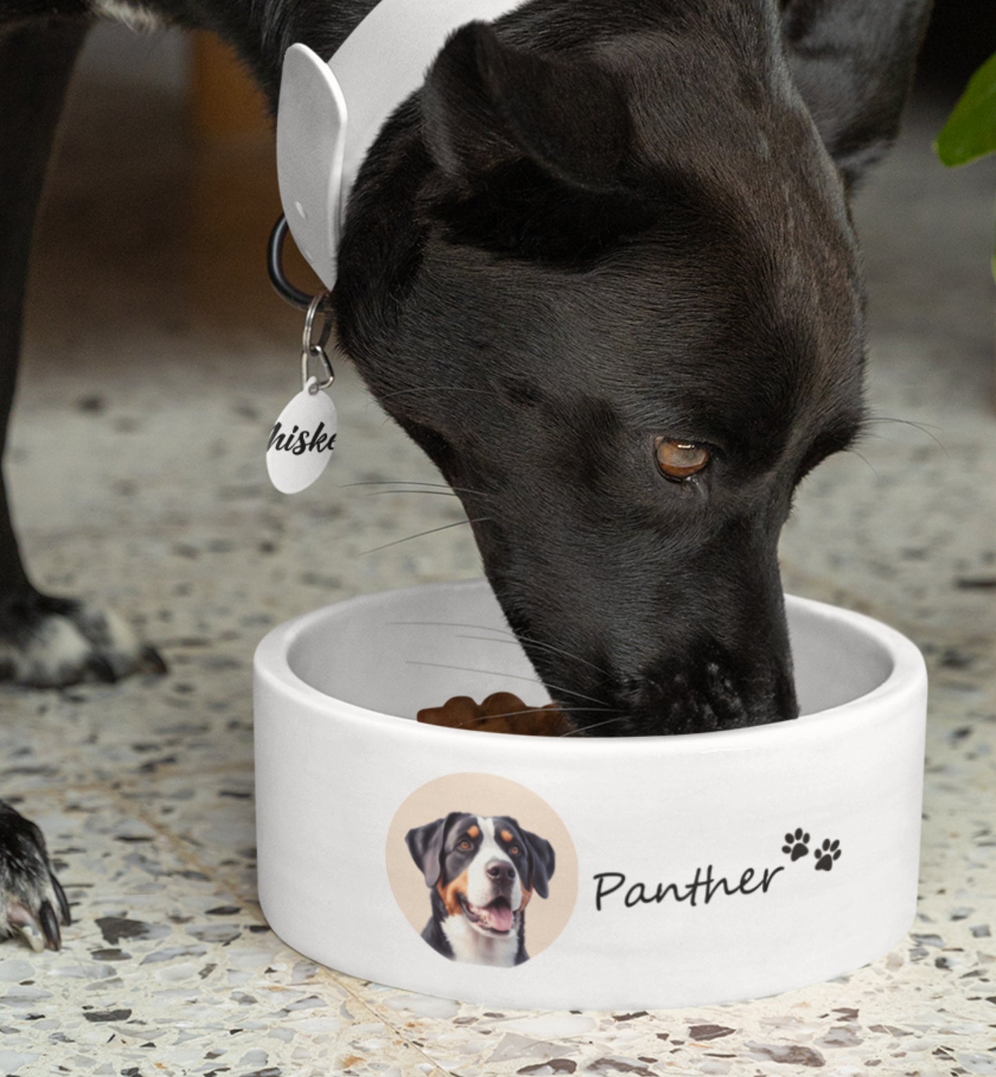 Personalized Pet Bowl