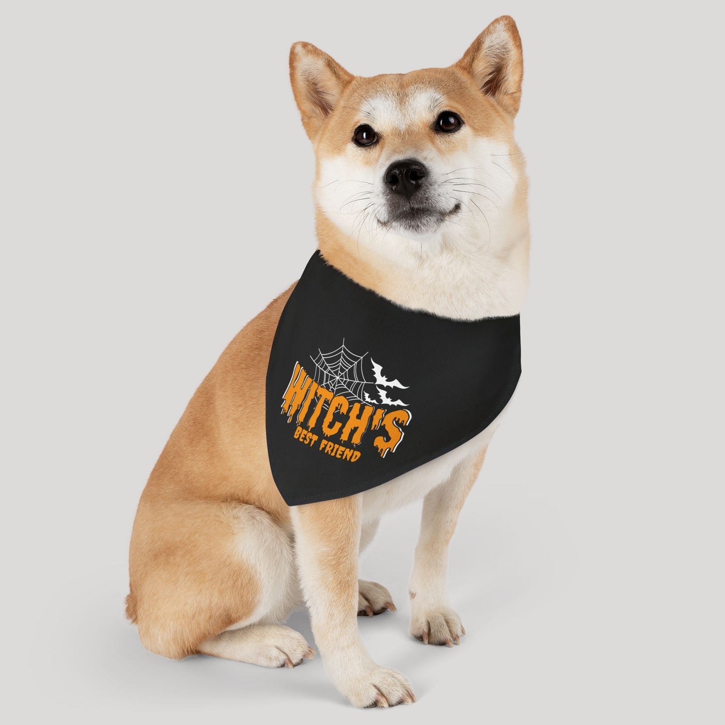 Witch's Best Friend Pet Bandana Collar