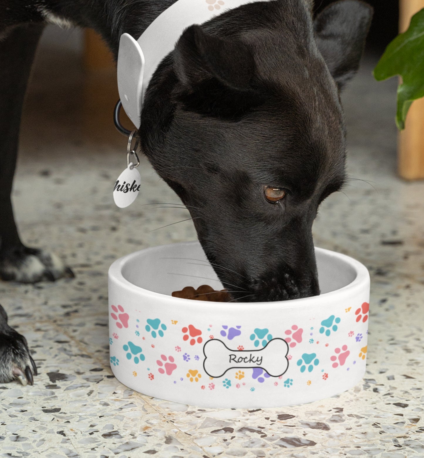 Personalized Pet Name Bowl
