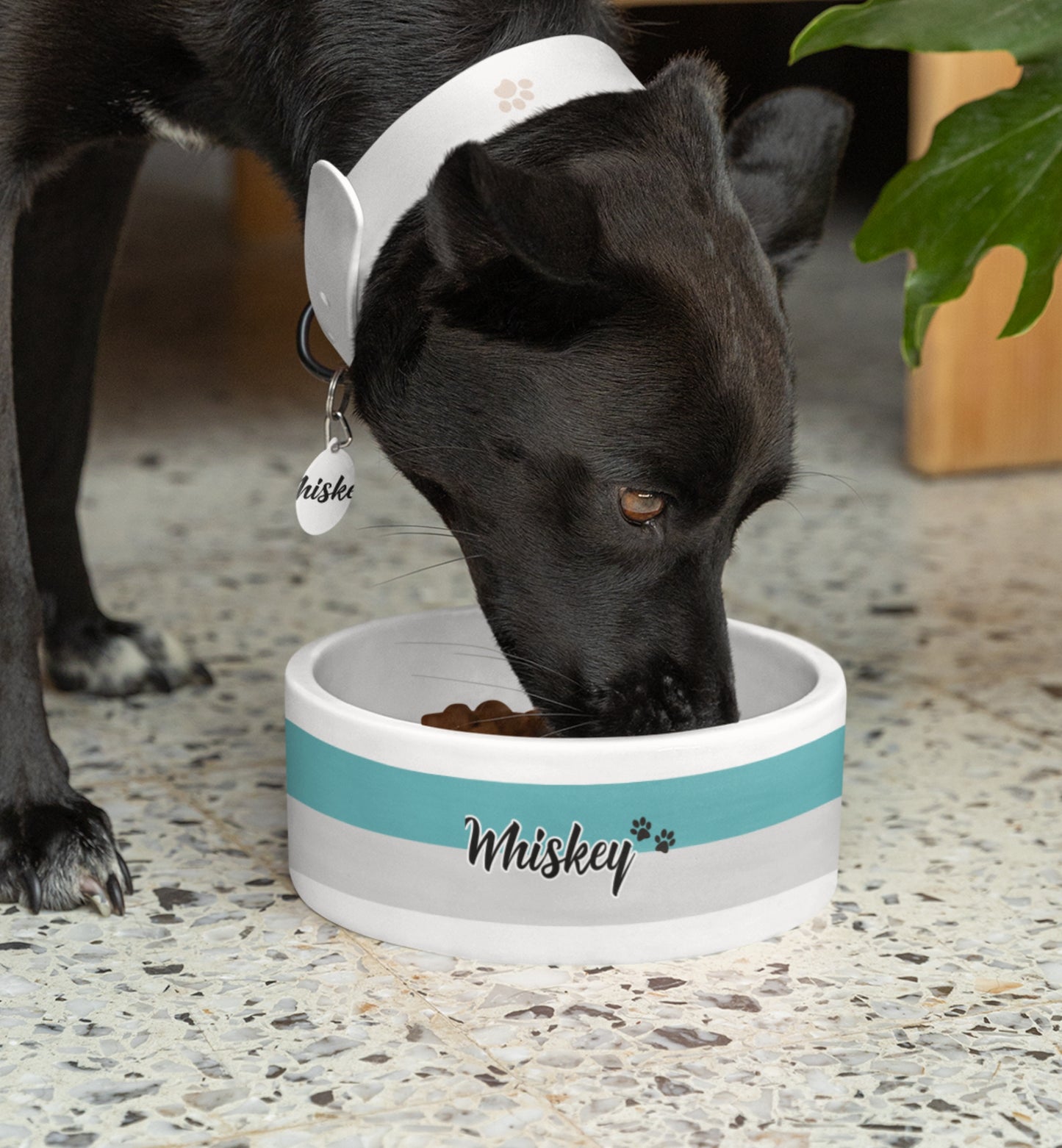 Personalized Pet Name Bowl