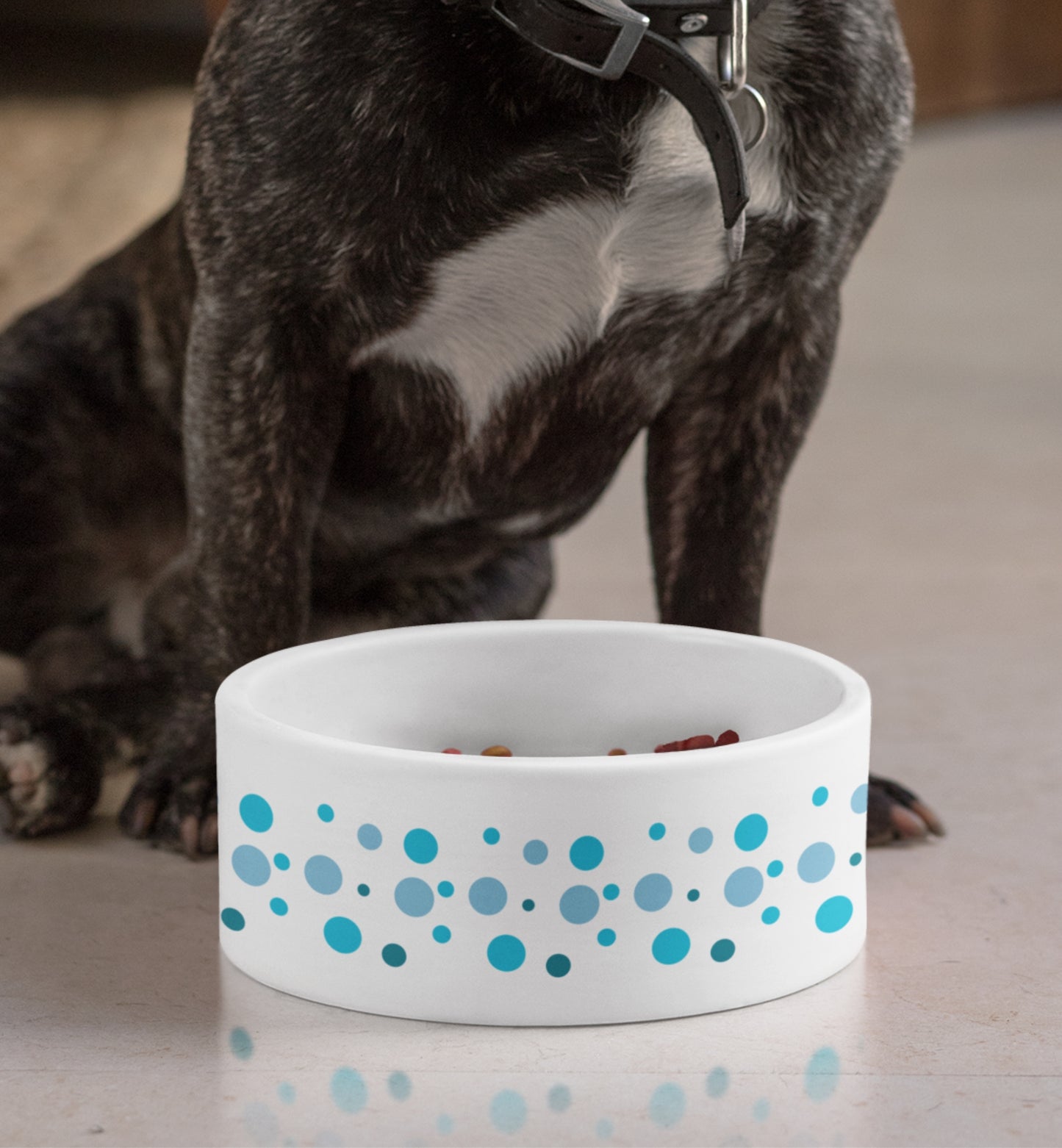 Pet Bowl