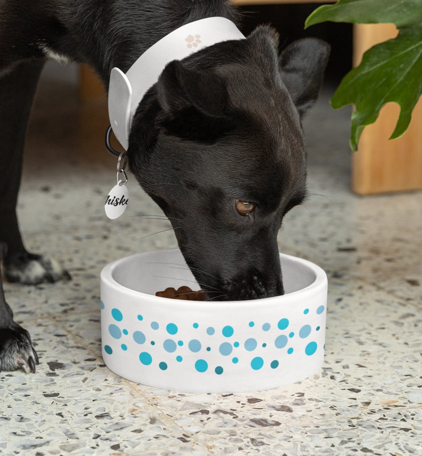 Pet Bowl