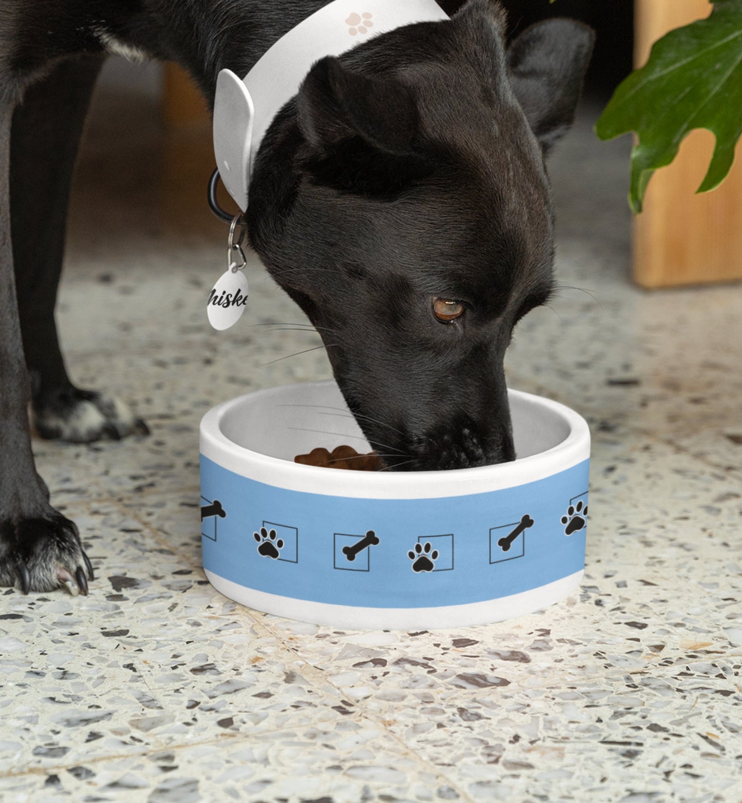 Pet Bowl