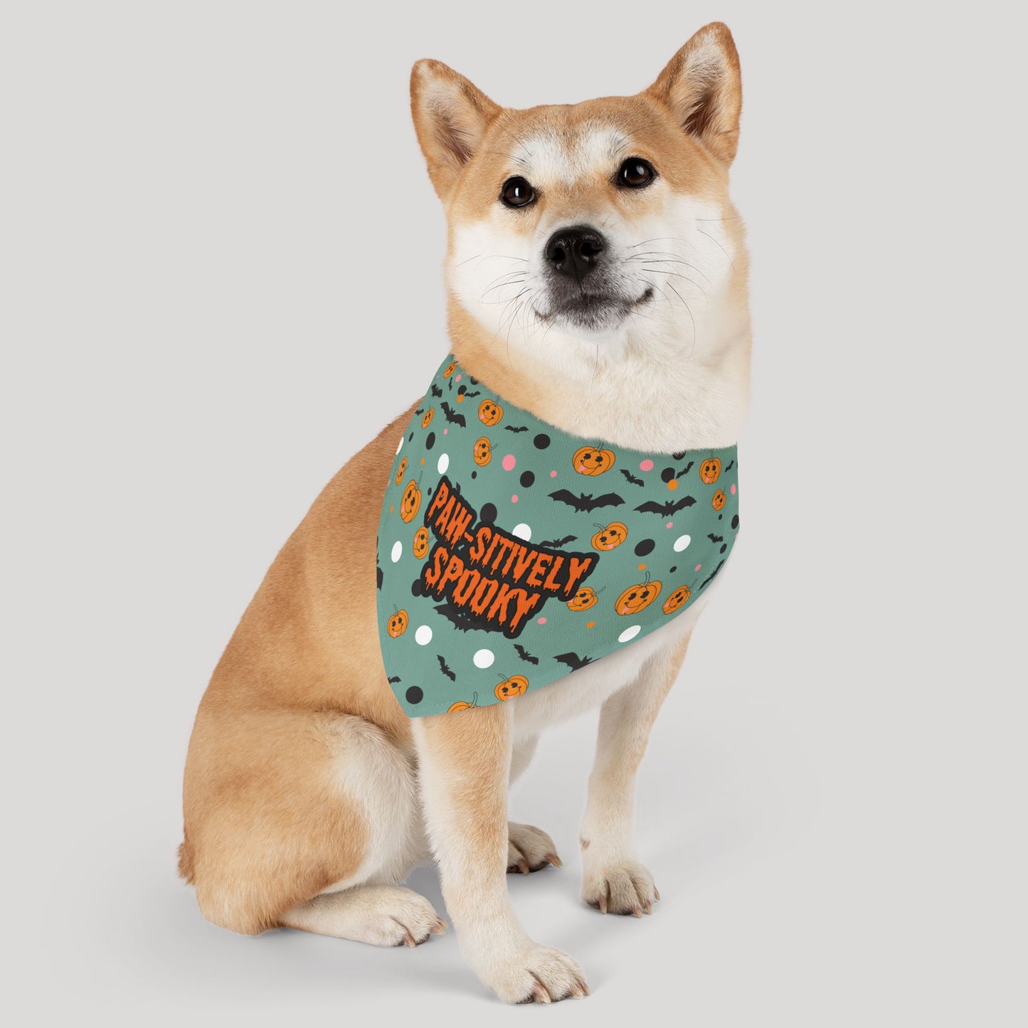 Pawsitively Spooky Bandana Collar