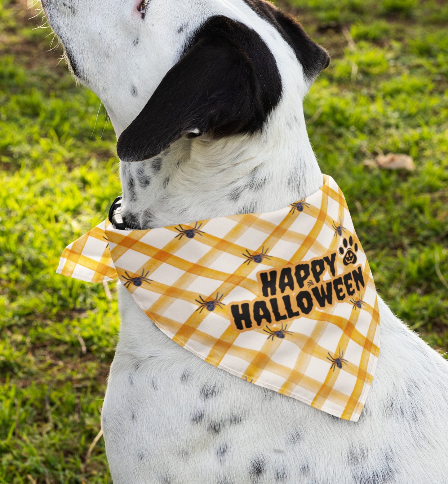 Happy Halloween Pet Bandana Collar