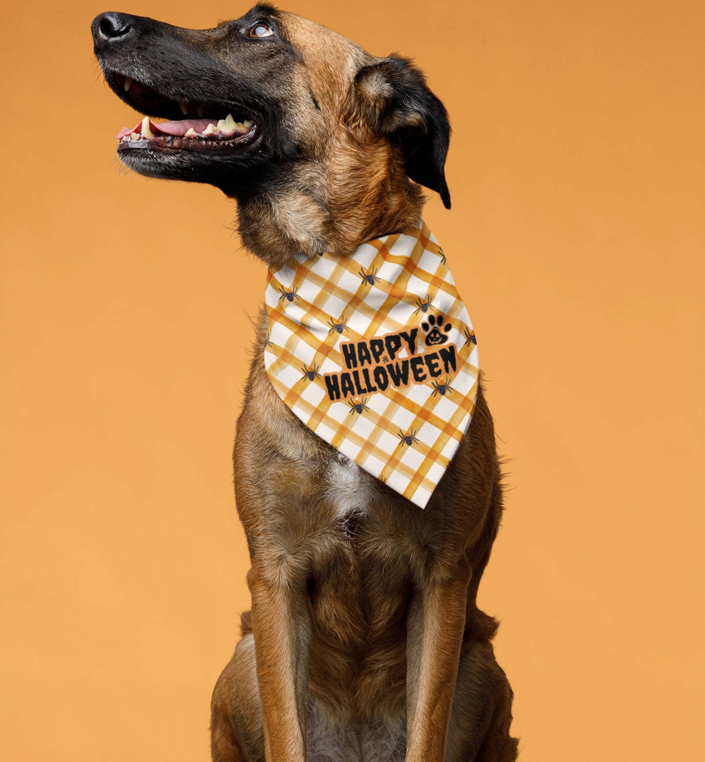 Happy Halloween Pet Bandana Collar