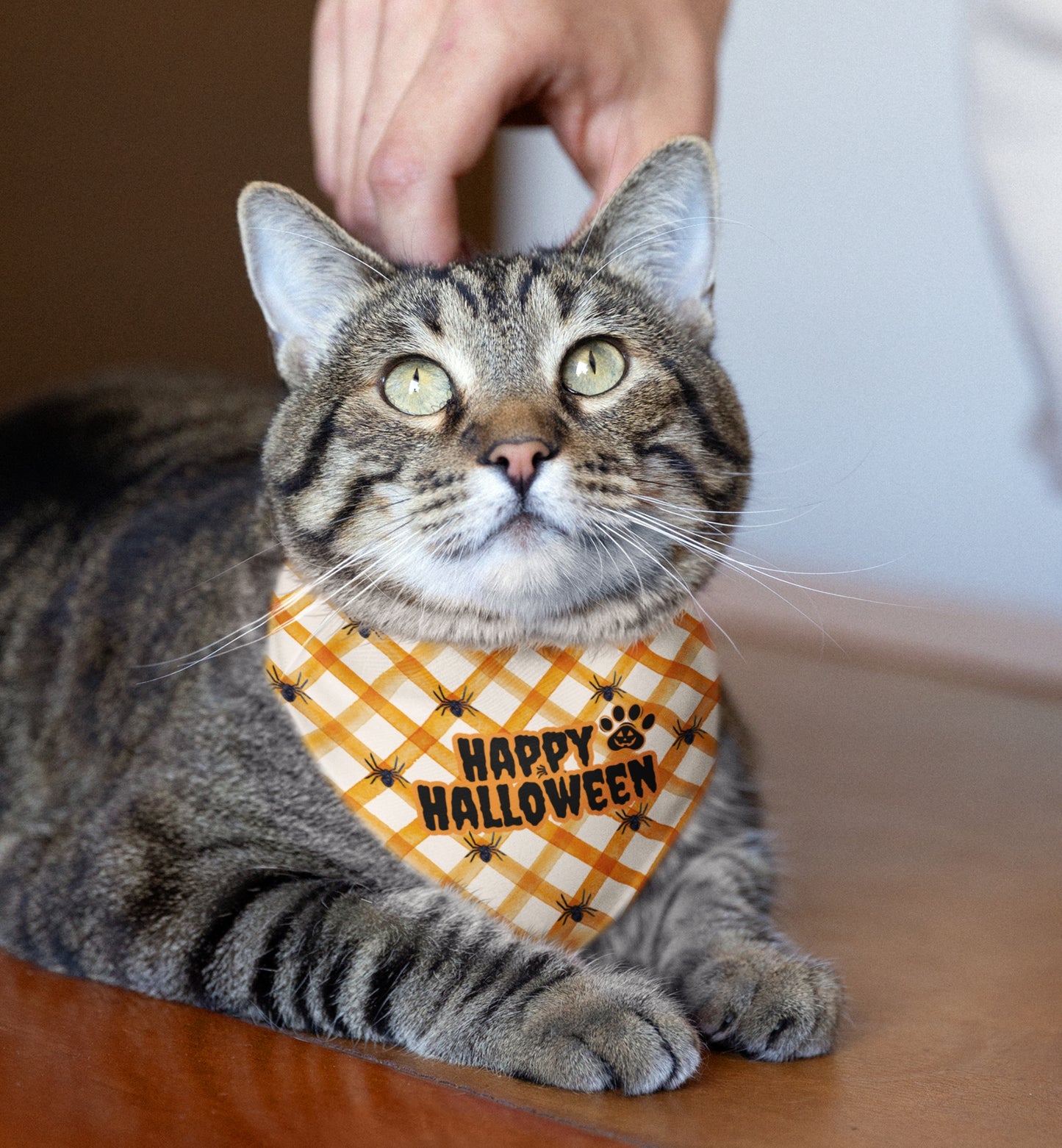 Happy Halloween Pet Bandana Collar