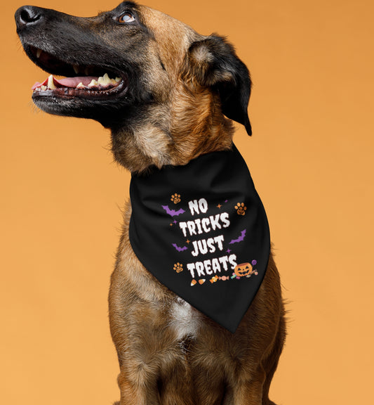 No Trick Pet Bandana