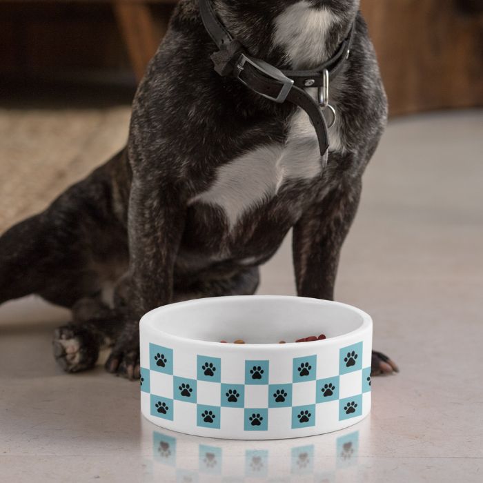 Pet Bowl
