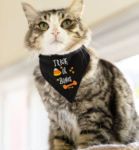 Halloween Bones Pet Bandana Collar