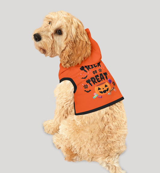 Trick or Treat Pet Hoodie