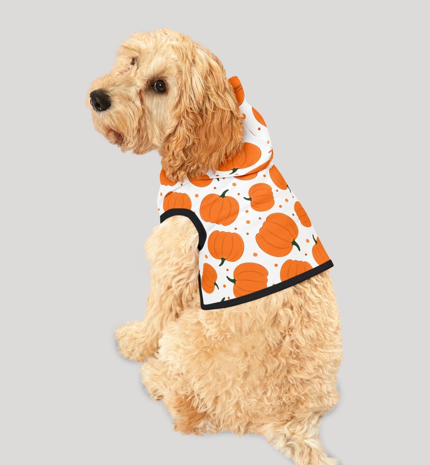 Pumpkin Pet Hoodie