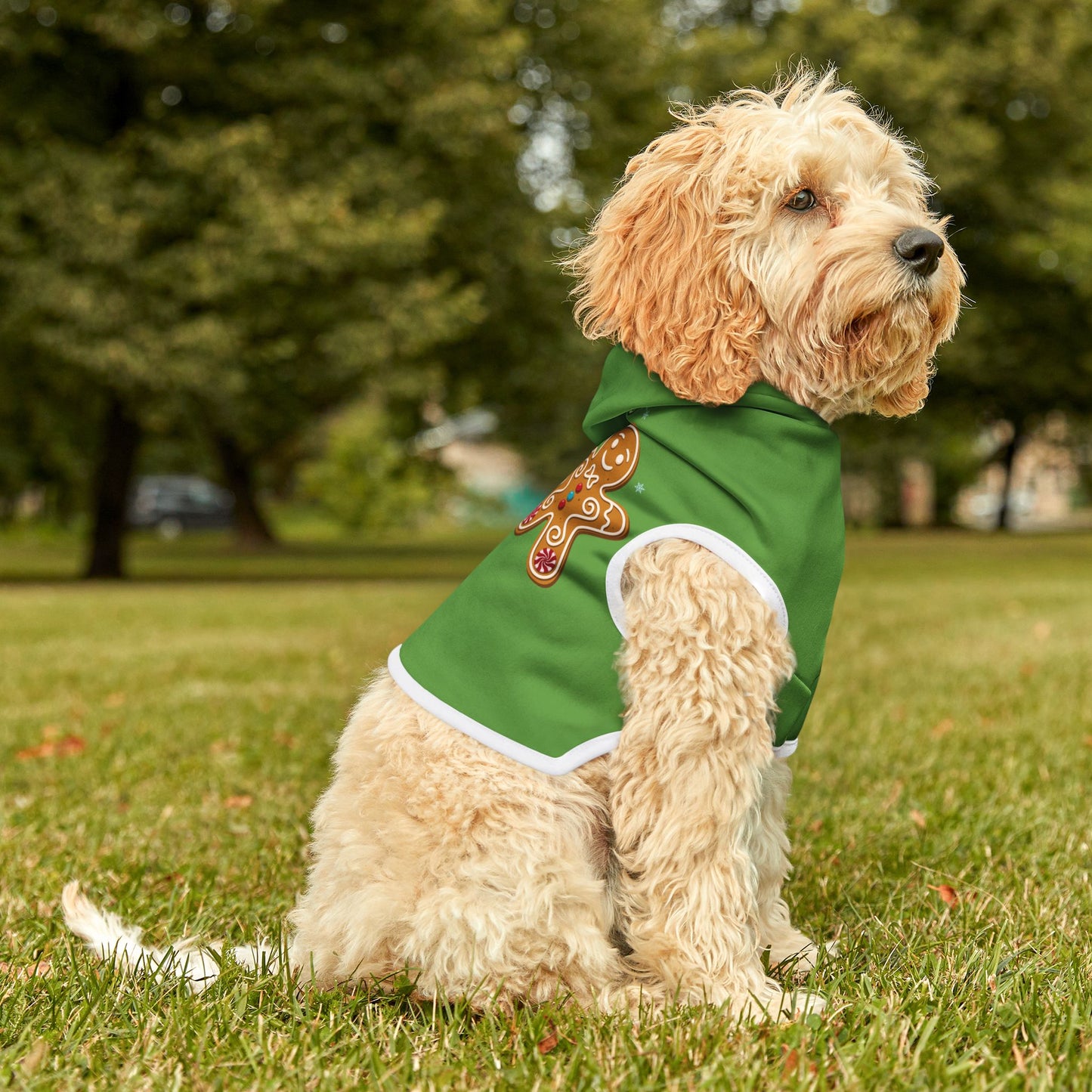 Cookie Taster Hoodie