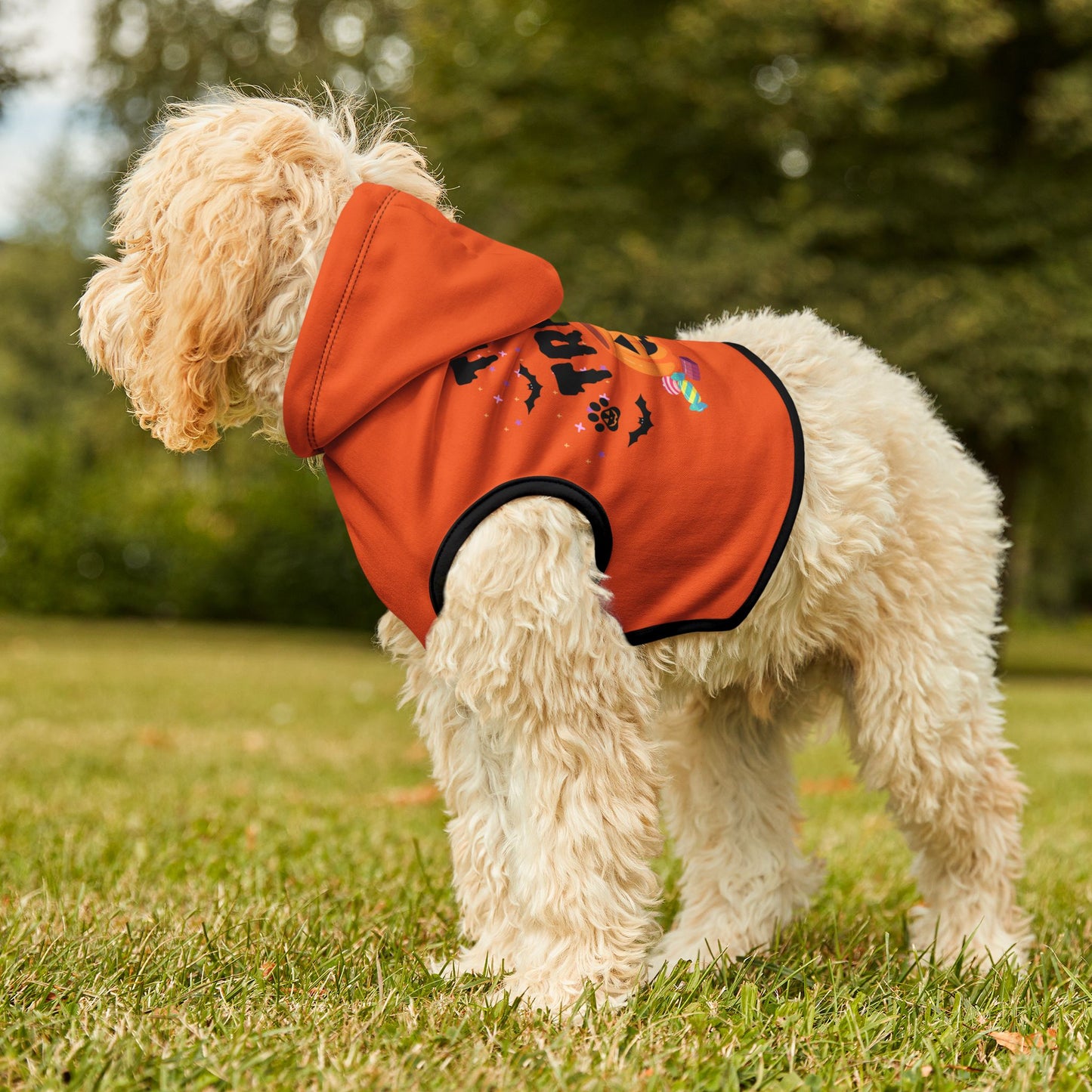 Trick or Treat Pet Hoodie