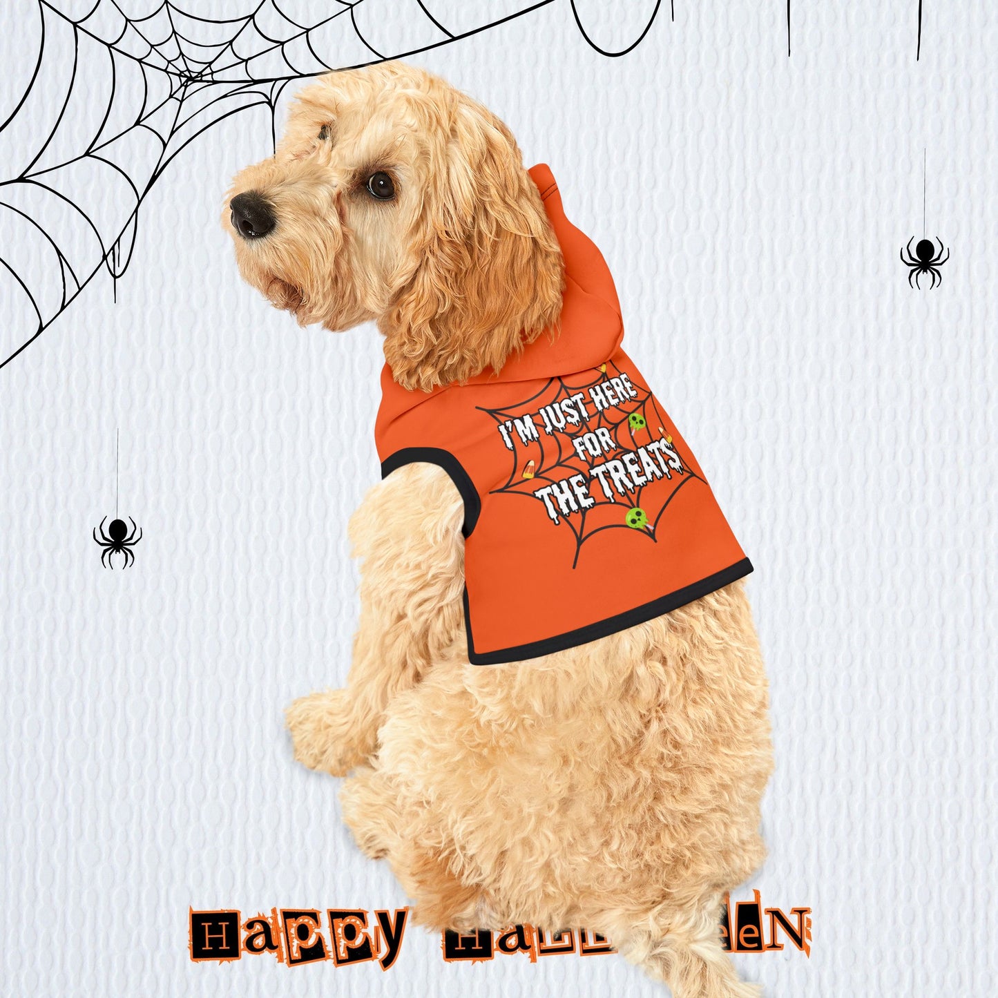 The Treats Pet Hoodie