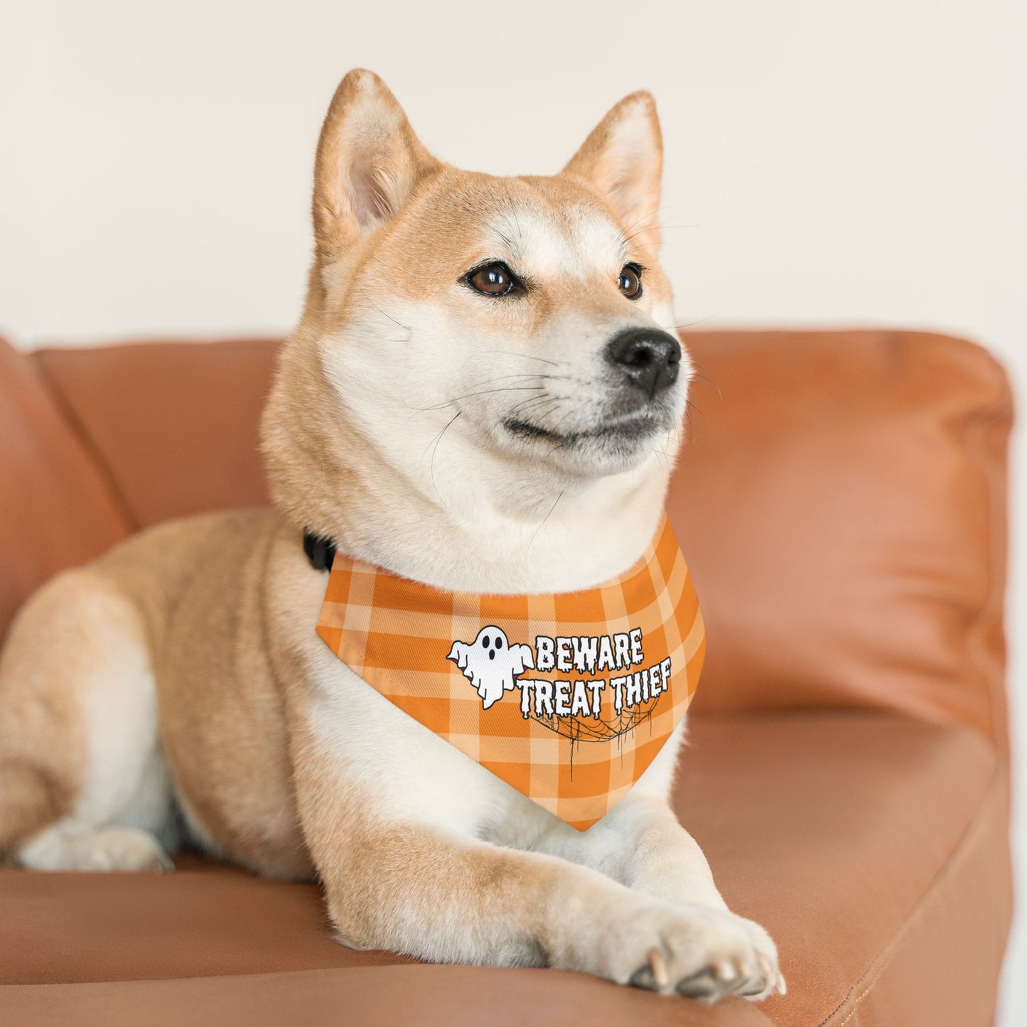 Treat Thief Pet Bandana Collar