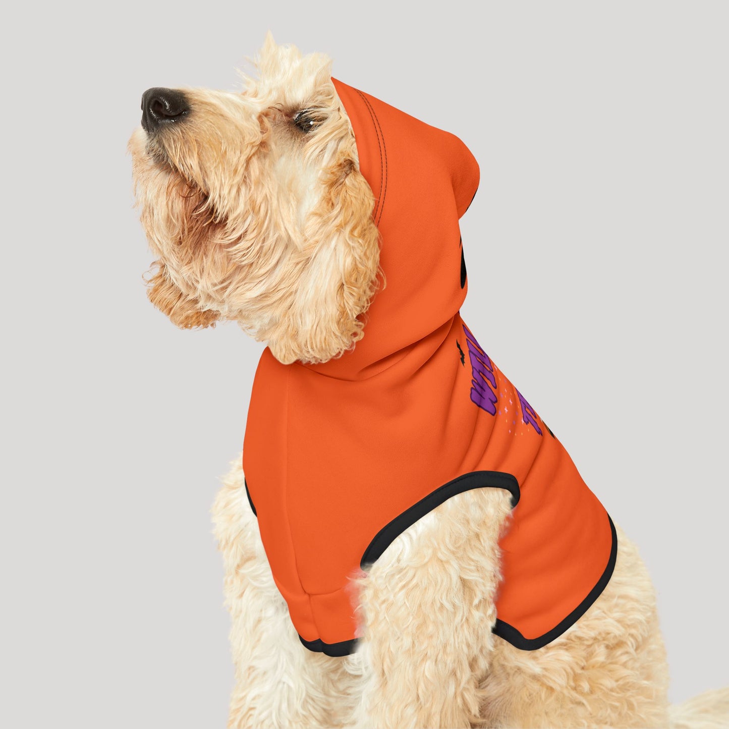 Will Trick ForTreats Pet Hoodie