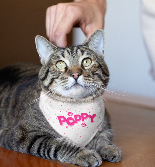 Personalized Pet Bandana Collar